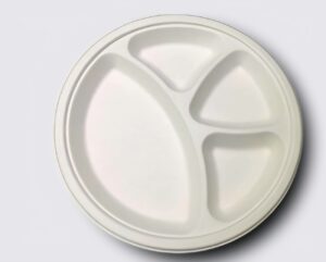 Round Compartment Plate