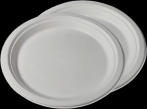 WhatsApp Image 2025-12-22 at 11.05.37 PM